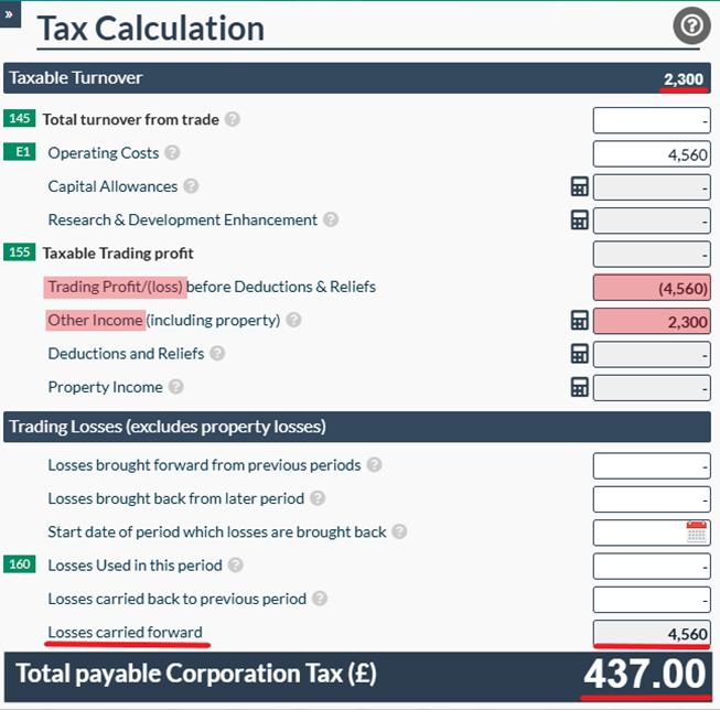 Easy Digital Tax and accounting information -  losses