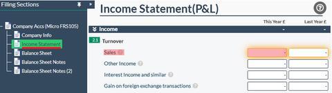 Micro Company Income statement Easy Digital Tax and accounting information - digital