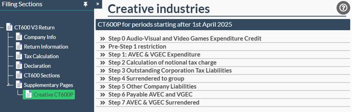 CT600P for periods staring after 1 April 2025 Easy Digital Tax and accounting information - corporation tax
