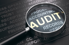 Audit Exemptions for Private Limited Companies Explained 